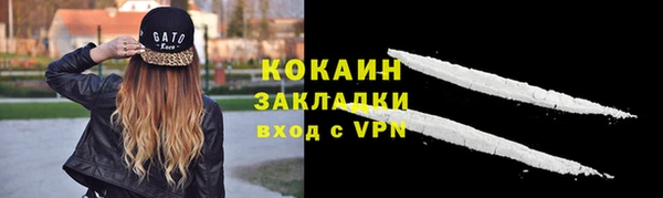 ГАЛЛЮЦИНОГЕННЫЕ ГРИБЫ Волосово