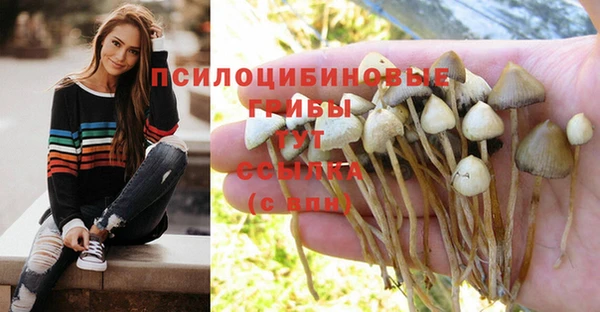 мескалин Волоколамск