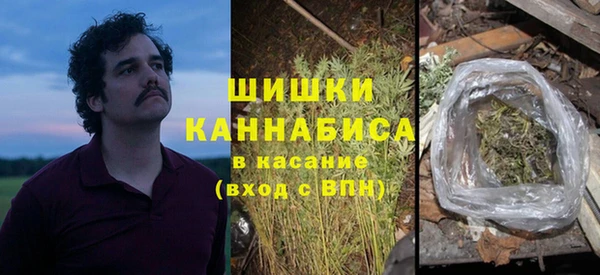 ГАЛЛЮЦИНОГЕННЫЕ ГРИБЫ Волосово